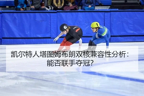 凯尔特人塔图姆布朗双核兼容性分析：能否联手夺冠？