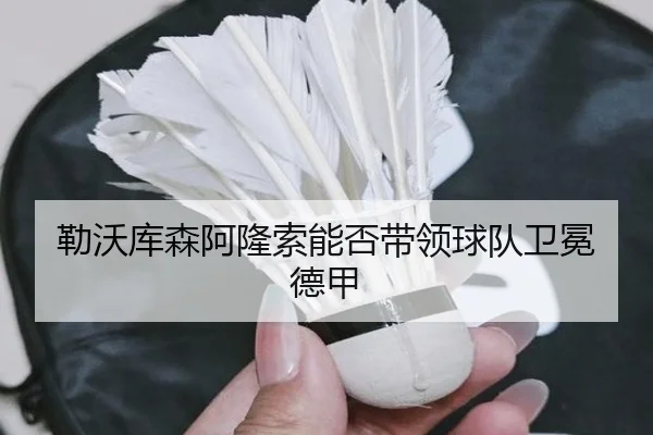 勒沃库森阿隆索能否带领球队卫冕德甲